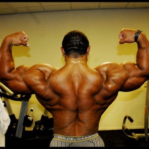 2010 Bodybuilding Images