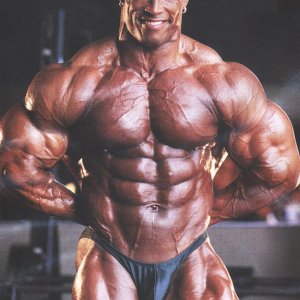 2010 Bodybuilding Images