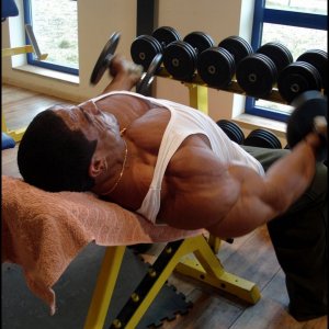 2010 Bodybuilding Images