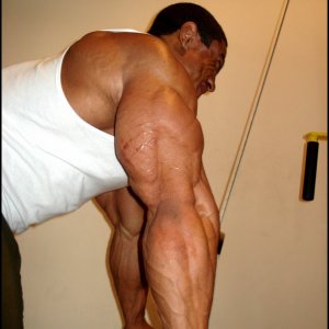 2010 Bodybuilding Images