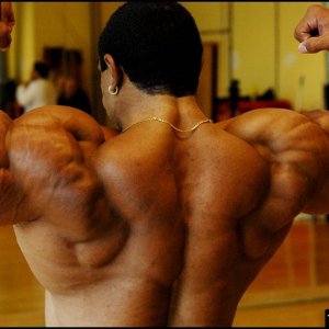 2010 Bodybuilding Images