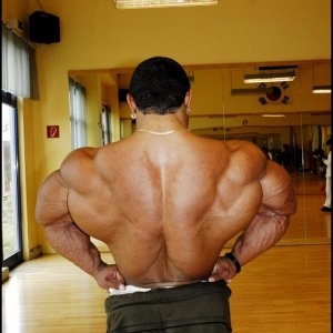 2010 Bodybuilding Images