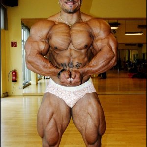 2010 Bodybuilding Images