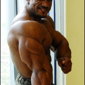 2010 Bodybuilding Images