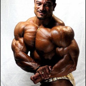 2010 Bodybuilding Images