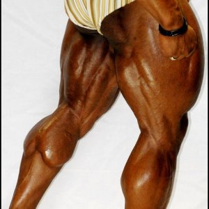 2010 Bodybuilding Images