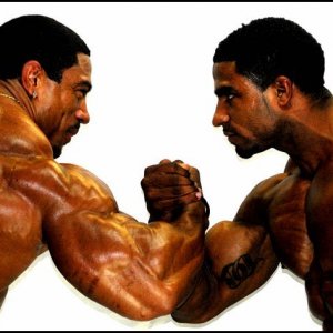 2010 Bodybuilding Images