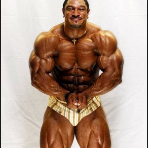 2010 Bodybuilding Images