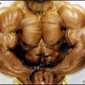 2010 Bodybuilding Images