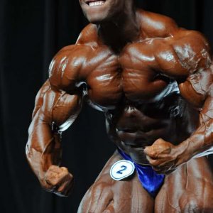 2010 Bodybuilding Images