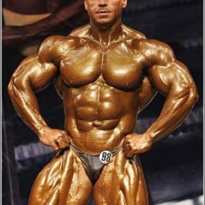 2010 Bodybuilding Images