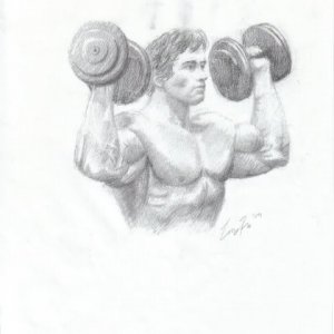 2010 Bodybuilding Images