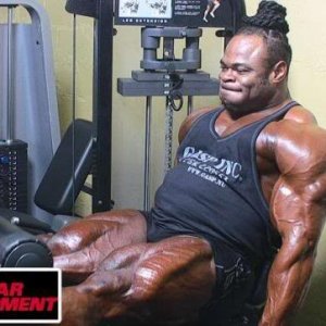 2010 Bodybuilding Images