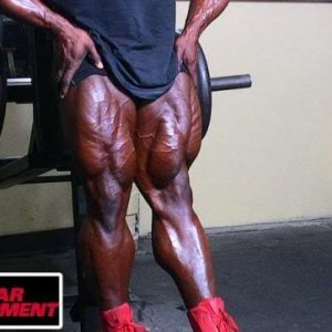 2010 Bodybuilding Images