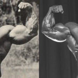 2010 Bodybuilding Images