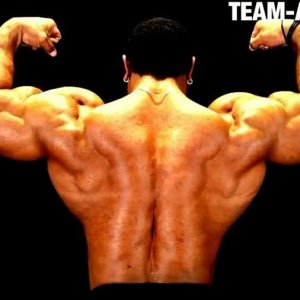 2010 Bodybuilding Images