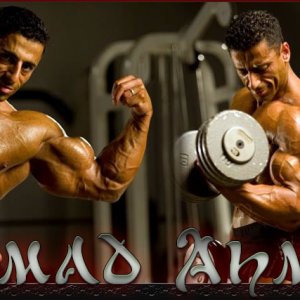 2010 Bodybuilding Images