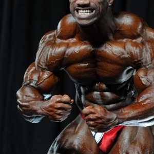 2010 Bodybuilding Images