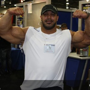 2010 Bodybuilding Images