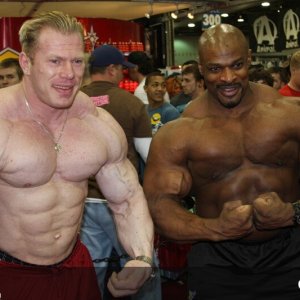 2010 Bodybuilding Images