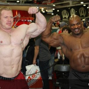 2010 Bodybuilding Images