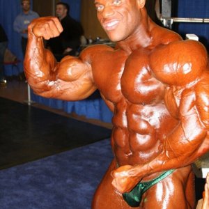 2010 Bodybuilding Images