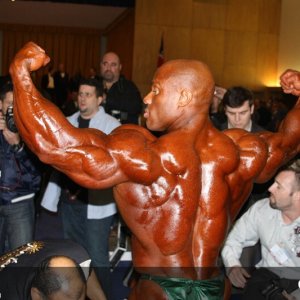 2010 Bodybuilding Images