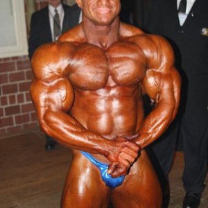 2010 Bodybuilding Images