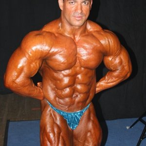 2010 Bodybuilding Images