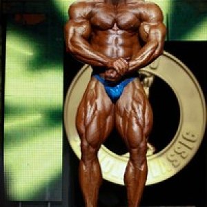 2010 Bodybuilding Images