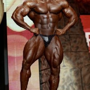 2010 Bodybuilding Images