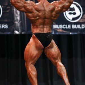 2010 Bodybuilding Images