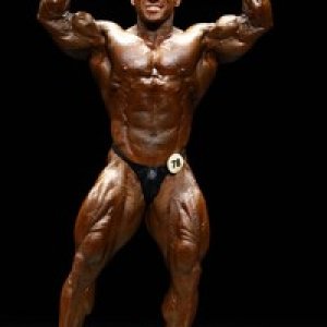 2010 Bodybuilding Images