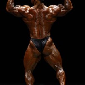 2010 Bodybuilding Images