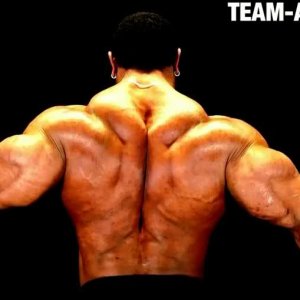 2010 Bodybuilding Images