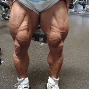 2010 Bodybuilding Images