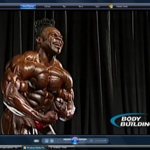 2010 Bodybuilding Images