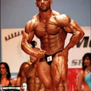 2010 Bodybuilding Images