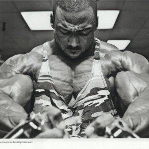 2010 Bodybuilding Images