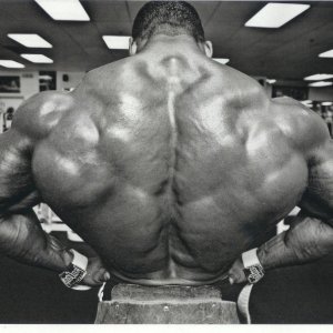 2010 Bodybuilding Images