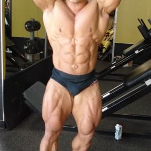 2010 Bodybuilding Images