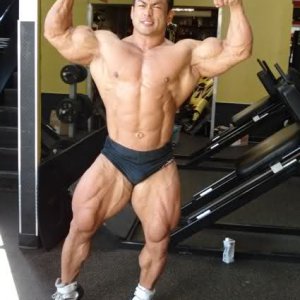 2010 Bodybuilding Images