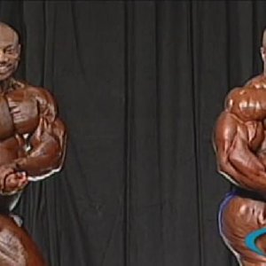 2010 Bodybuilding Images