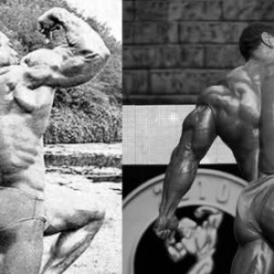 2010 Bodybuilding Images