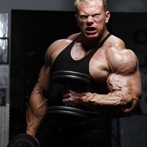 2010 Bodybuilding Images