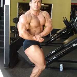 2010 Bodybuilding Images