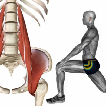 Hip-Flexors.png