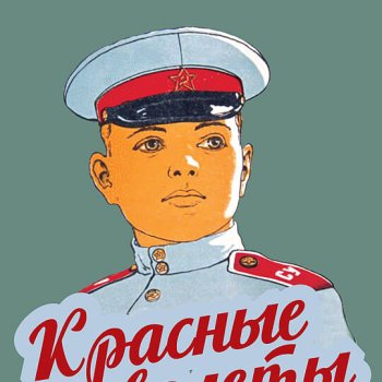 9a6c0e5a-b010-11ec-0a80-09e9000a0863_0-540x860.jpg