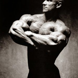 2014 Bodybuilding Images