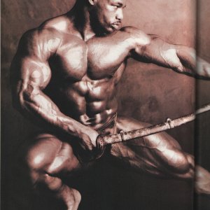 2014 Bodybuilding Images